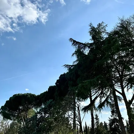 شقة Casale Collecchio *