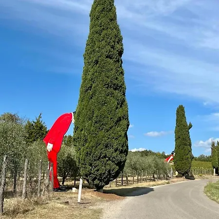 Casale Collecchio سيينا