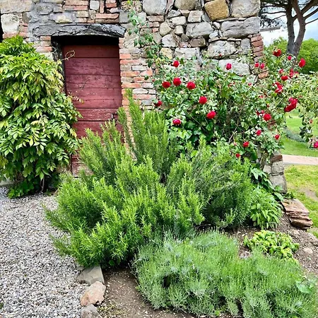 Casale Collecchio Lägenhet Siena