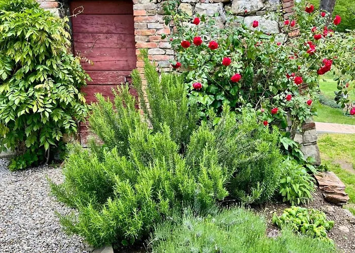 Casale Collecchio Appartement Siena