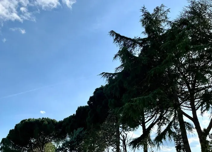 Апартаменты Casale Collecchio *